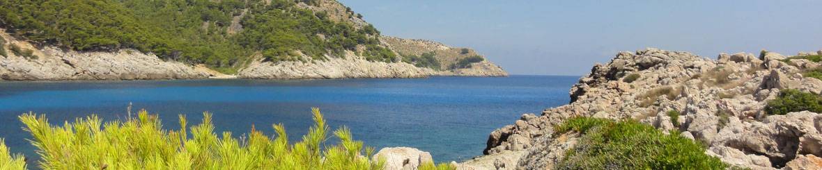 Foto's meezeilen Mallorca