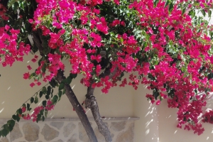 2016-08-20 10.20.01.jpg