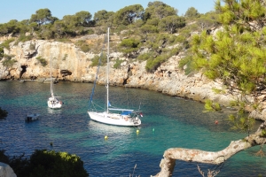 zeiljachthuren-mallorca.jpg