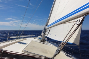 2016-08-15 11.13.33.jpg