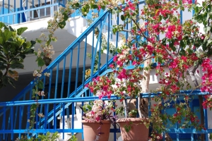 Zeilvakantie Griekenland bloemen