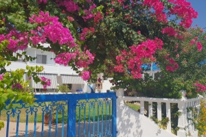 Zeilboot huren Griekenland?