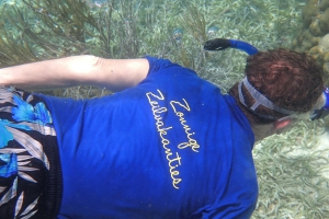 flottielje zeilen snorkelen