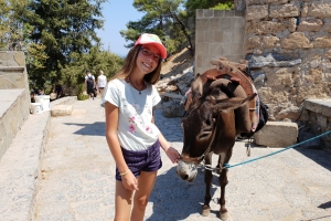 zeilen griekenland ezels zeilen griekenland ezels