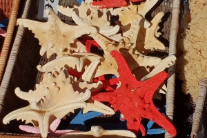 zeilen griekenland zeesterren zeilen griekenland zeesterren