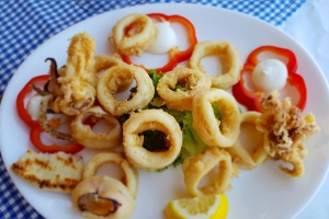 zeilen griekenland calamares zeilen griekenland calamares