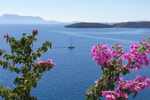 20200718_113449 (1).jpg