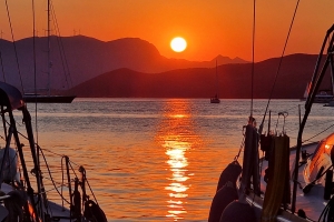 2022-08-02 19.19.16.jpg