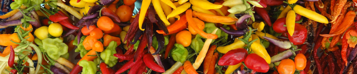 Boodschappenlijst / Proviand