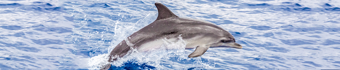 Voorbeeld Route 12-daagse zeilreis Kos - Noord